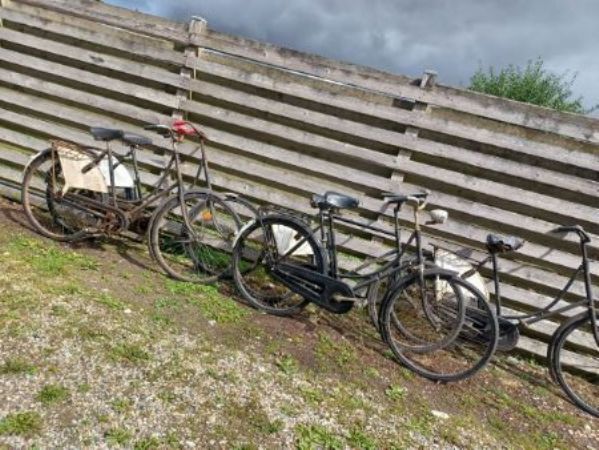 Veteran cykler 